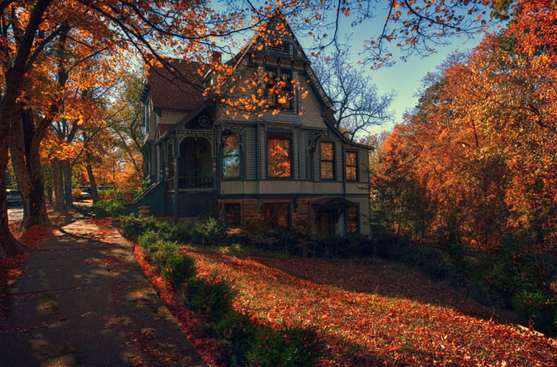 House in Autumn, autumn, house, bonito, road, trees, HD wallpaper
