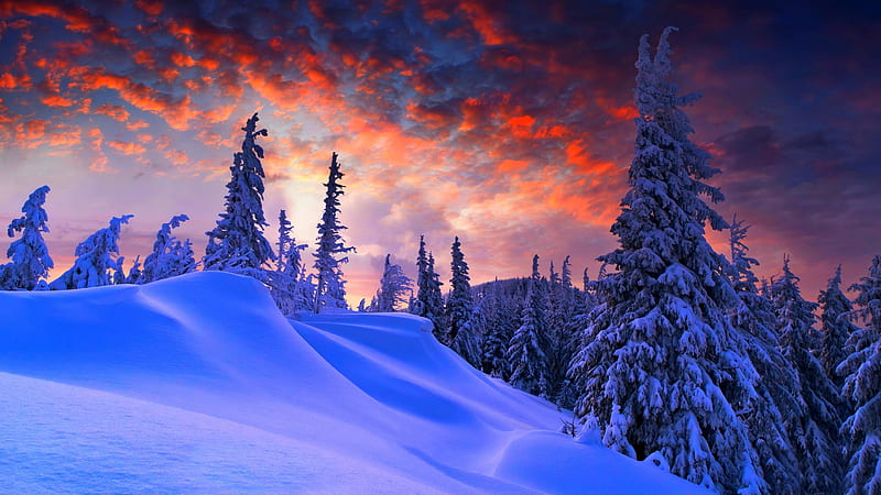 Sunset Over the Snowy Hillside, forest, snow, sunrise, nature, trees, hillside, clouds, winter, HD wallpaper