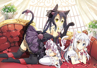 HD sexy catgirls wallpapers