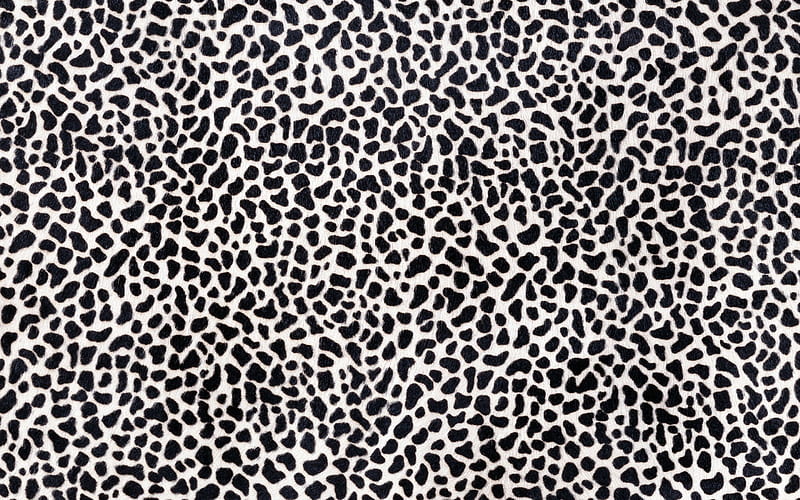 zebra skin, vector textures, white black background, zebra textures, black white stripes, macro, zebra skin texture, zebra background, zebra abstract background, HD wallpaper