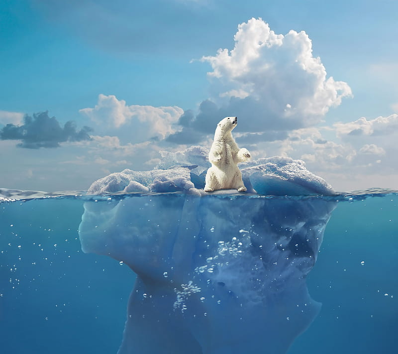 Bears, Polar Bear, Bear, Cloud, Ice, Iceberg, Sky, Water, HD wallpaper