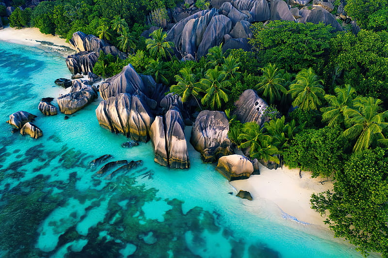 Seychelles, ocean, beach, island, sea, palms, tropics, paradise, rocks, summer, emerald, sands, view, water, HD wallpaper