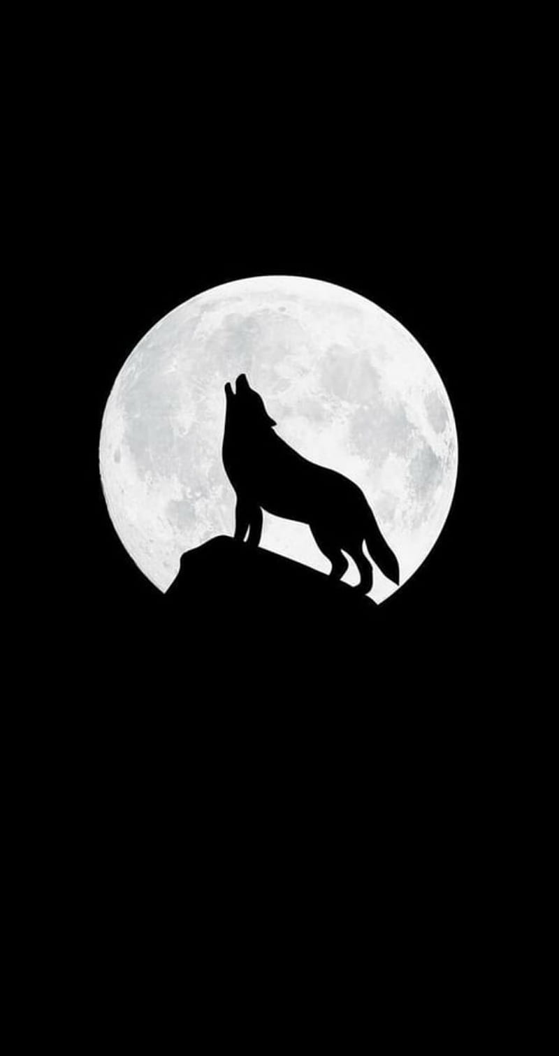 Wolf, howling, howl, full moon, mountain, silhouette, black and white, HD phone wallpaper