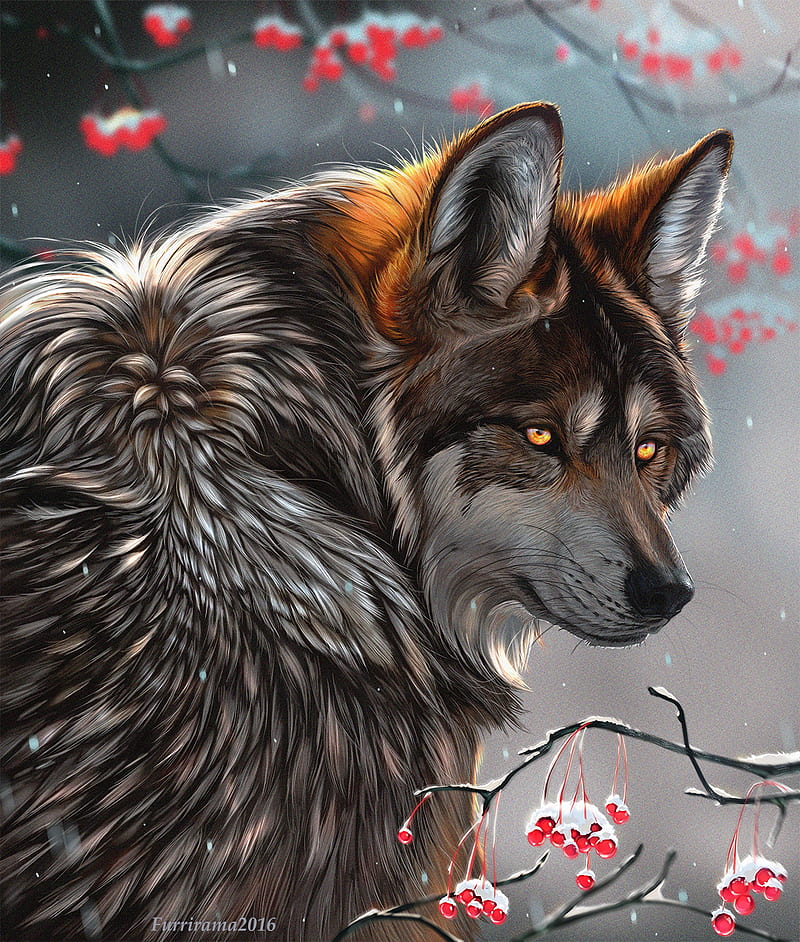 wolf, glance, art, predator, berries, branches, HD phone wallpaper