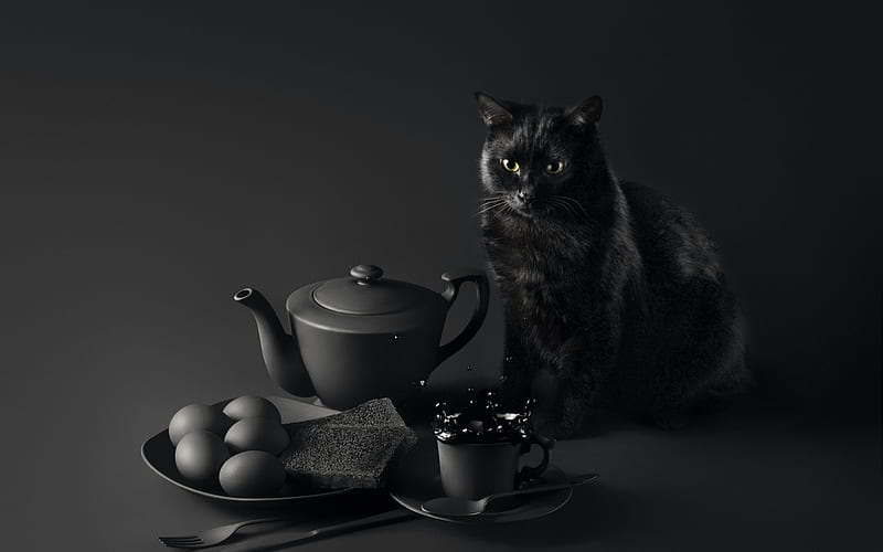Breakfast, egg, all black, cup, pisici, cat, tea, animal, HD wallpaper