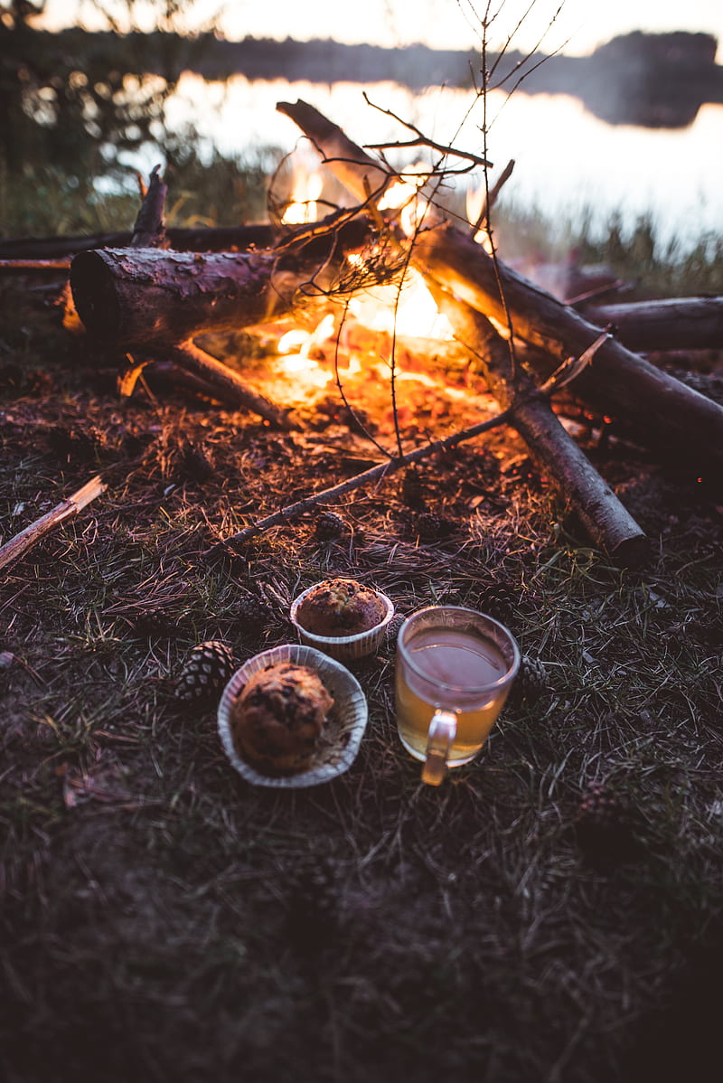 bonfire, cup, cupcakes, tea, nature, HD phone wallpaper