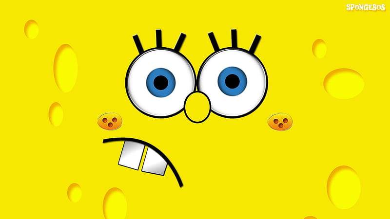 Funny Spongebob Squarepants Spongebob, HD wallpaper