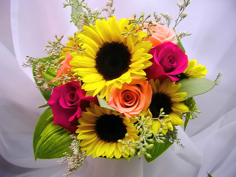 Para ustedes amigos, rojo, verde, ramo, flores, amarillo, coral, girasol,  rosas, Fondo de pantalla HD | Peakpx
