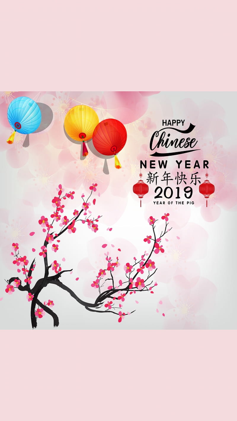 NewYear19 China, kiss, chinese new year, 2019, happy new year, pink, pig, HD phone wallpaper