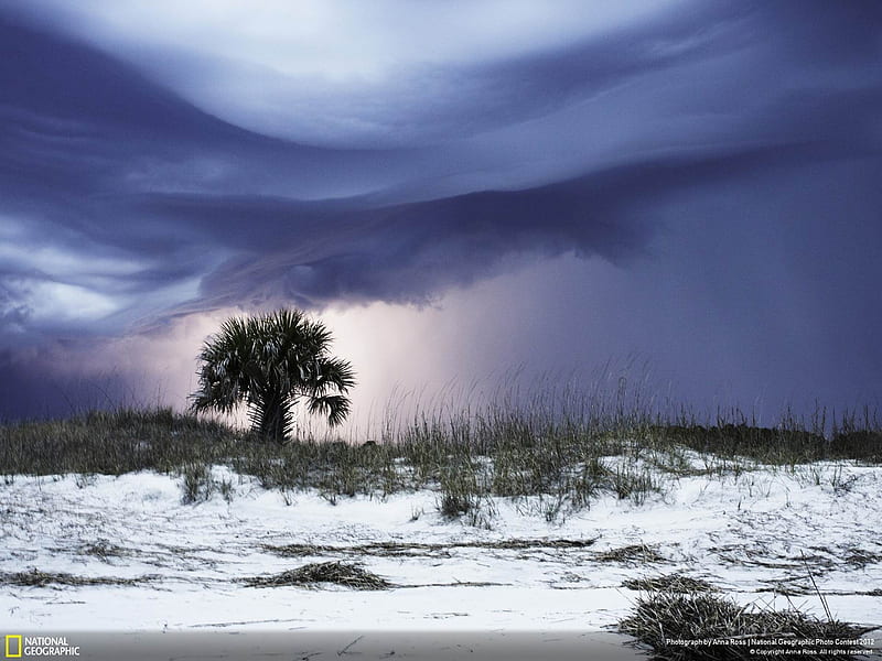 Lightning Storm-2012 National Geographic graphy, HD wallpaper