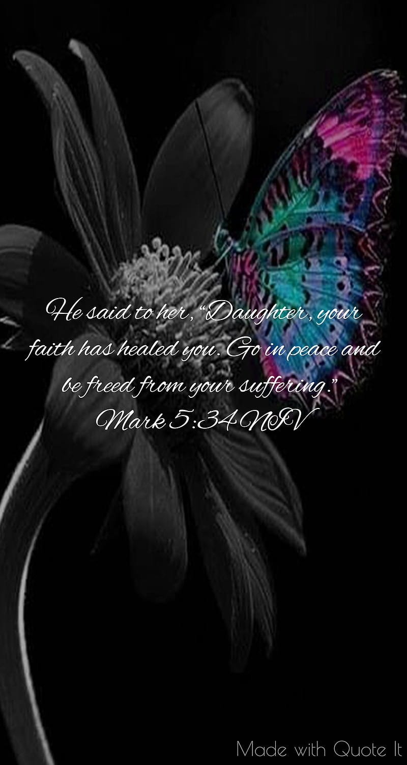 Butterfly Quotes Wallpapers  Top Free Butterfly Quotes Backgrounds   WallpaperAccess