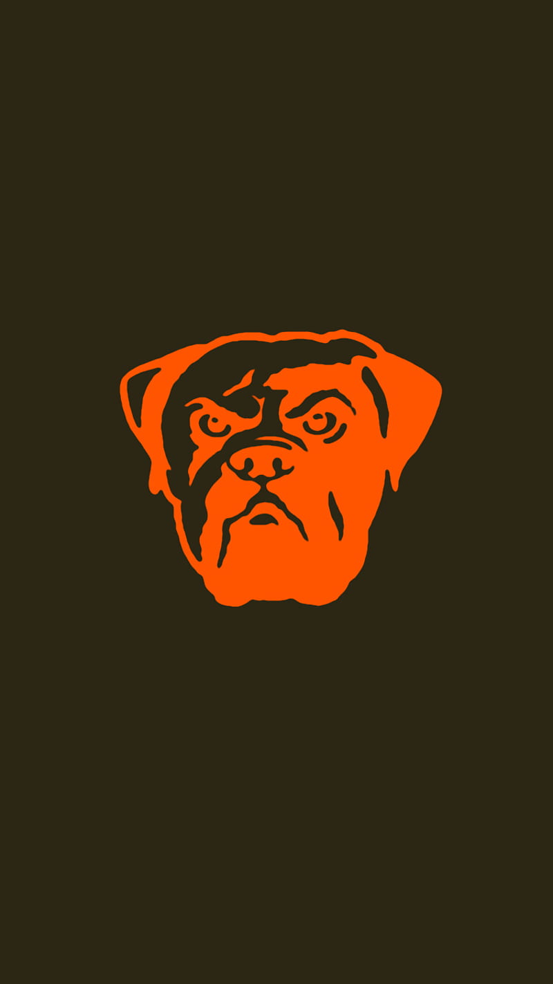 Dawgpound, brownies, browns, cleveland, cleveland browns, pitbull, HD phone wallpaper