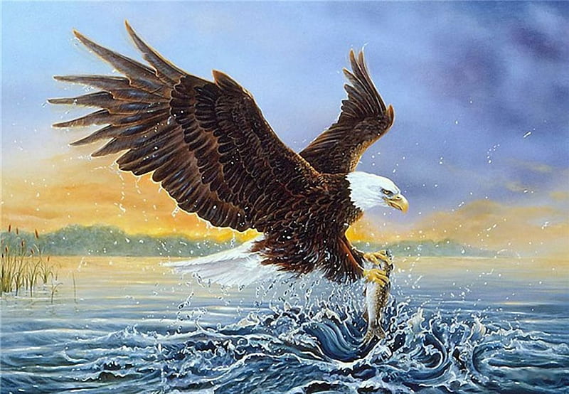 Bald Eagle Hunting, bird, fish, painting, raptor, lake, artwork, HD wallpaper