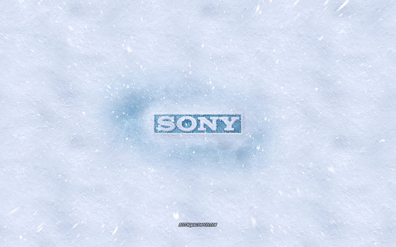 Sony logo, winter concepts, Sony ice logo, ice texture, snow texture, snow background, Sony emblem, winter art, Sony, HD wallpaper