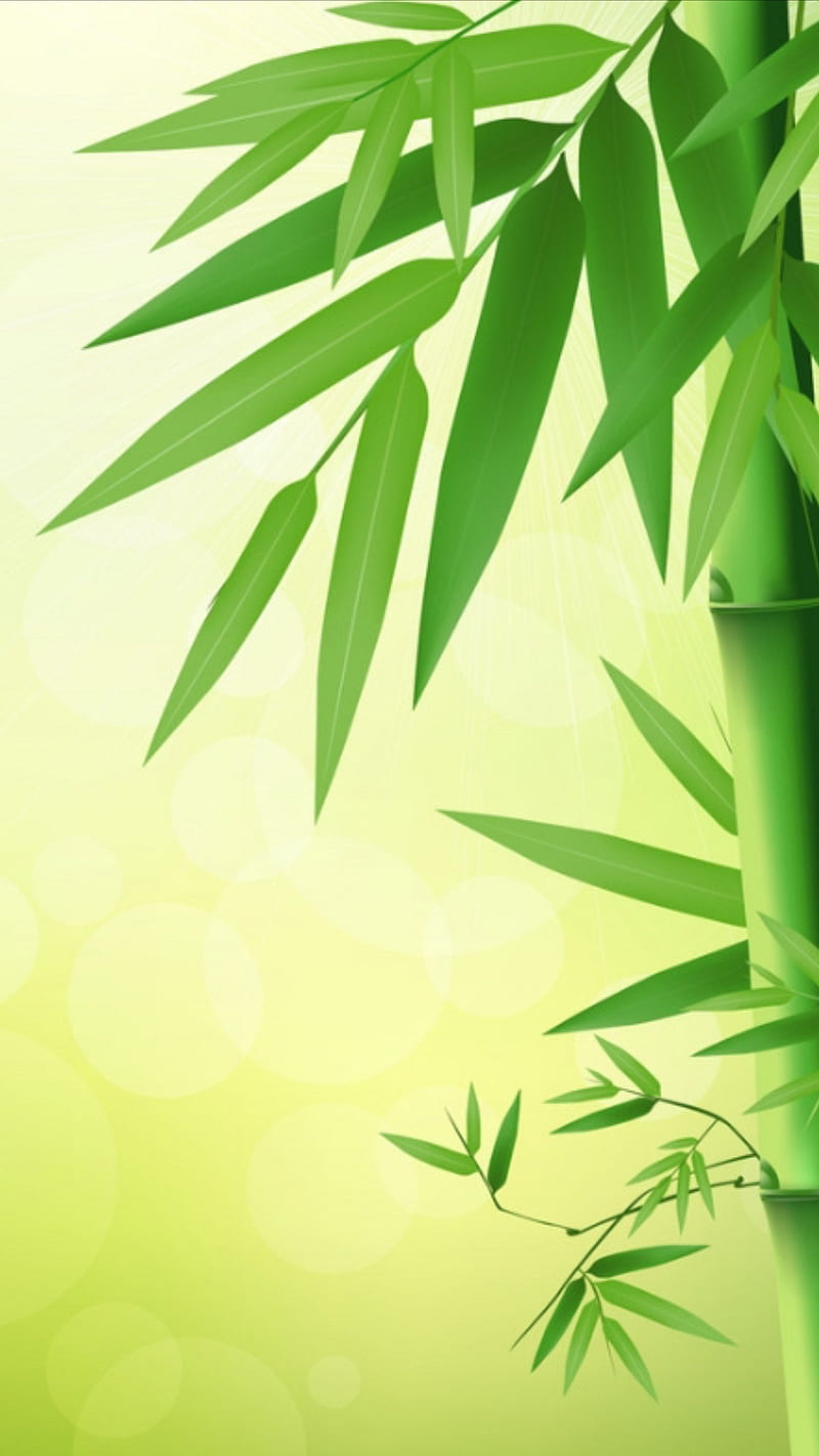 Green, art, bamboo, HD phone wallpaper