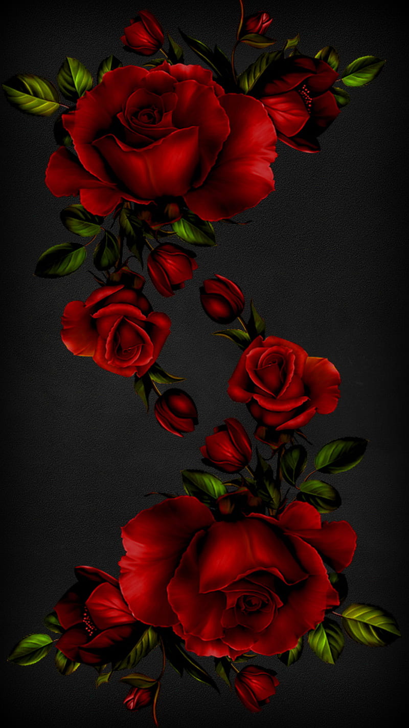 Roses Are Red, color, designs, flowers, rose, HD phone wallpaper | Peakpx