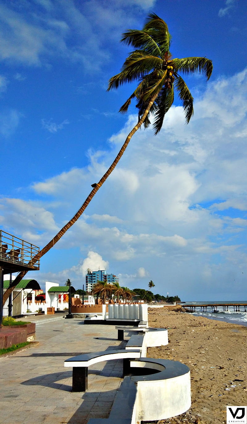 Kerala, beach, HD phone wallpaper Kerala, beach, HD phone wallpaper