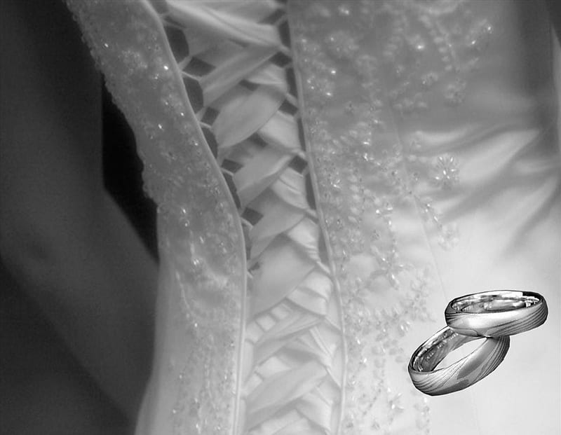 knot tie, rings, wedding, HD wallpaper