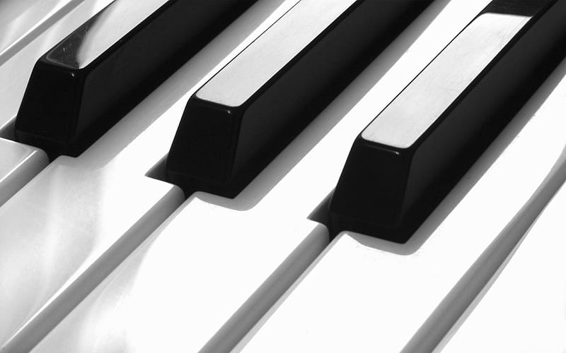 piano keys, music concepts, black and white piano, piano keys background, HD wallpaper