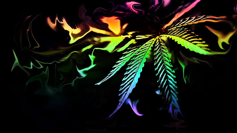 Art Of Colorful Weed Trippy, HD wallpaper