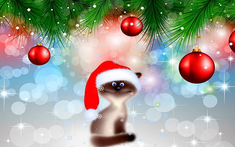 Christmas Kitty, christmas, holiday, Colorful, Xmas bulbs, abstract, winter, hat, cute, Cat, digital, kitten, HD wallpaper