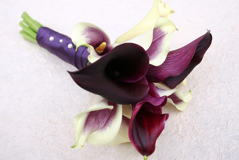 Purple calla, calla, purole, wedding, bouquet, HD wallpaper | Peakpx