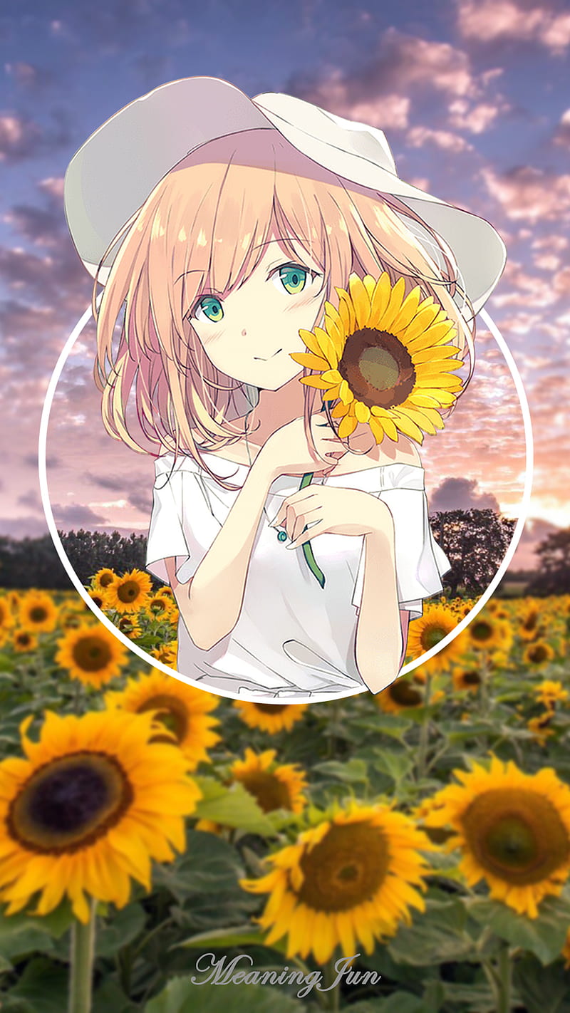 2D, anime girls, anime, -in-, MeaningJun, sunflowers, sunset, HD phone wallpaper