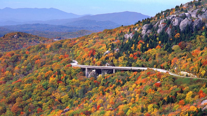 linn cove viaduct highway in north carolina, forest, highway, autumn, viaduct, mountains, HD wallpaper