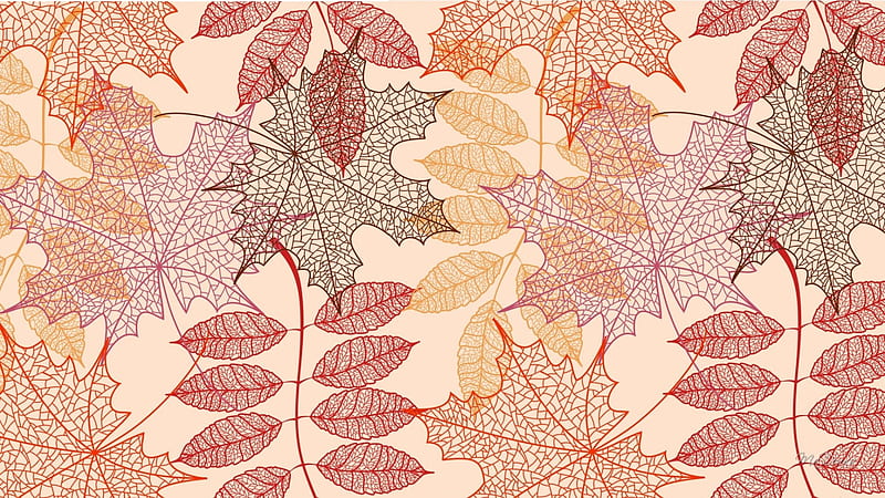 Leaves Leaves Leaves, fall, autumn, leaves, maple, mountain ash, soft, abstract, vector, HD wallpaper