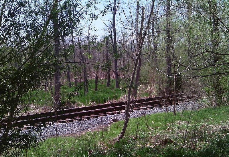 Abrams Creek Wetlands Park, train tracks, wetlands, trees, grass, HD wallpaper