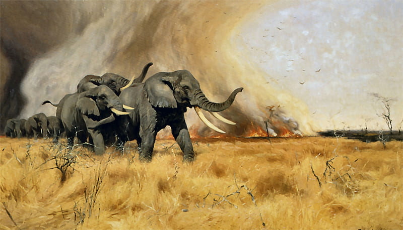 Elephants Moving Before a Fire, art, elephant, bonito, illustration, artwork, animal, fire, painting, wide screen, wildlife, nature, HD wallpaper