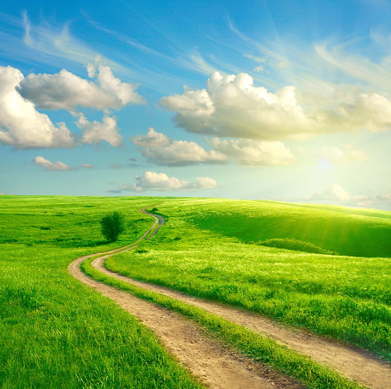 Small road on the fresh grass, Landscape, Clouds, Road, Grass, HD wallpaper