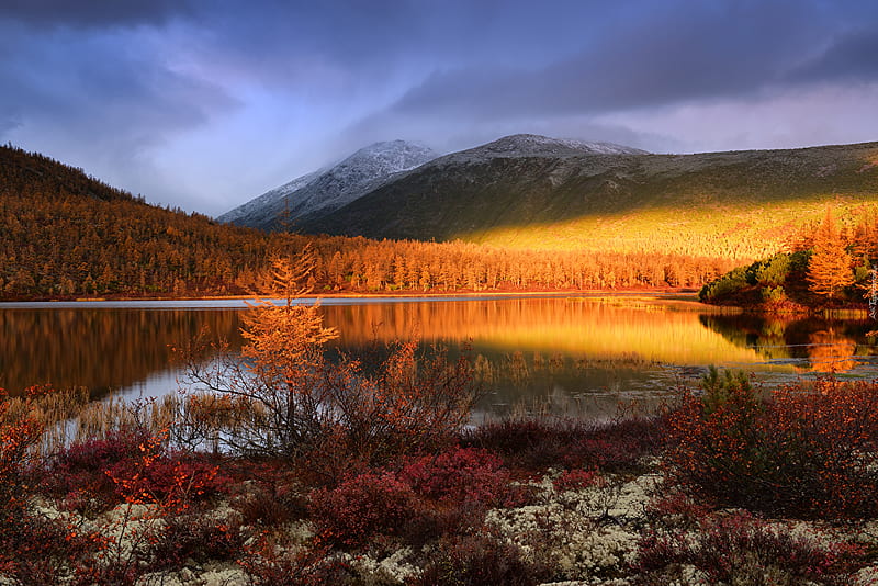 Russia Jack London Lake, Magadan region, London Fall, HD wallpaper