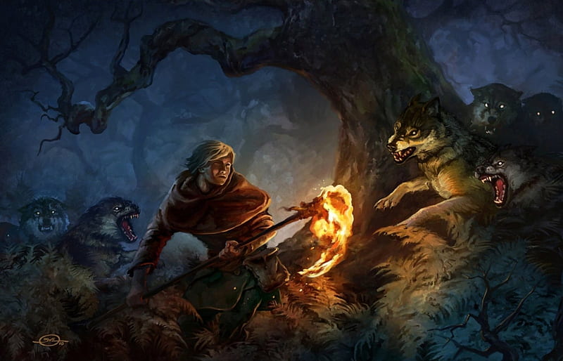 FightingThe Pack, forest, torch, man, wolves, night, HD wallpaper | Peakpx