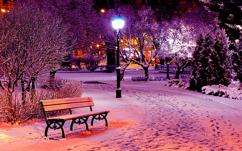 Recolectar 51+ imagen snowy park background - Thcshoanghoatham-badinh ...