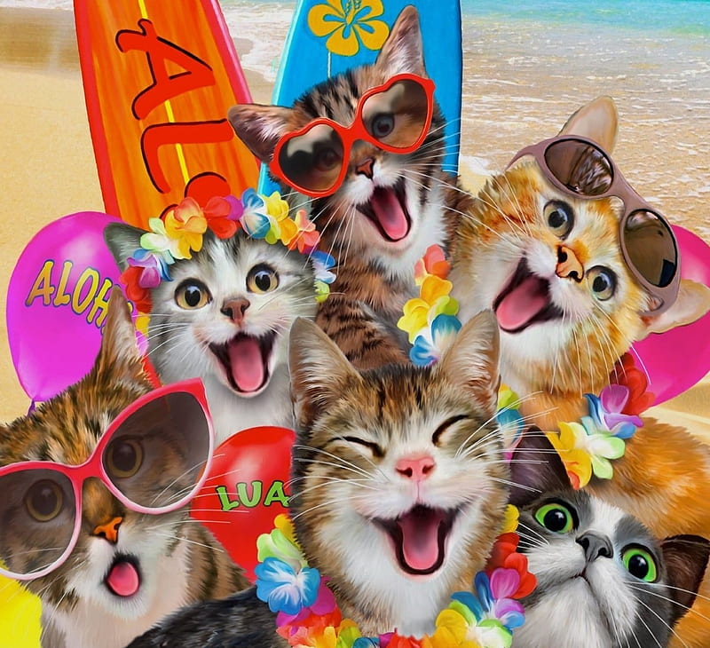 Selfie, luminos, cat, animal, sunglasses, fantasy, vara, summer, funny, howard robinson, pisica, HD wallpaper