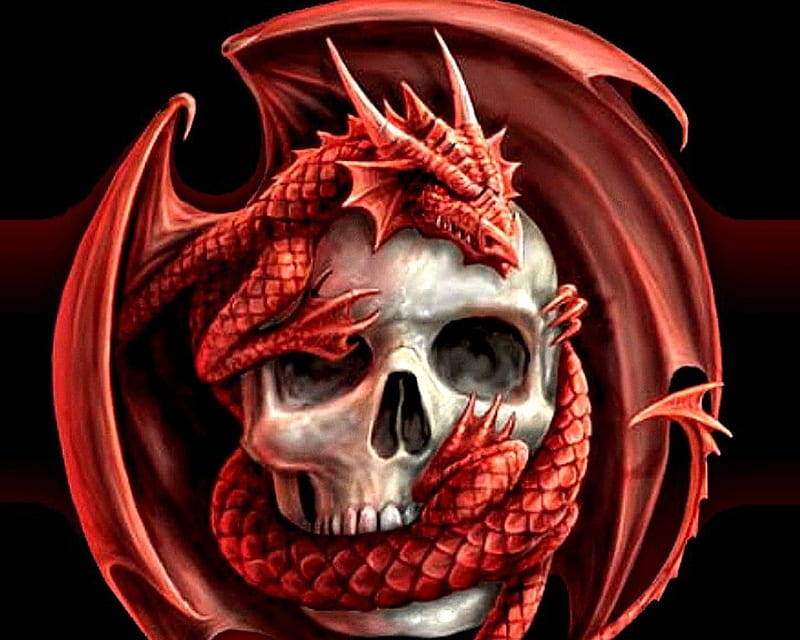 Red Skull Dragon, death, dragon, red, skull, HD wallpaper