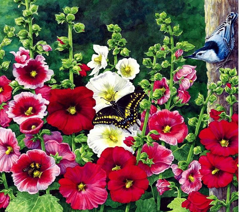 Hollyhock Garden, butterfly, bird, painting, bluejay, flowers, blossoms, colors, artwork, HD wallpaper