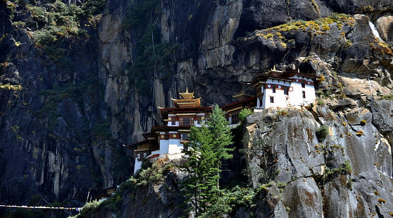 bhutan monastery, mountain, cliffs, trees, monastery, HD wallpaper