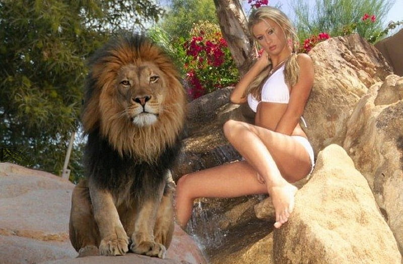 Blonde Beauty and the Beast, rock formation, model sitting on the stone, blonde, male lion, trees, white bikini, HD wallpaper