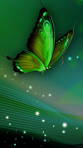 green butterfly background