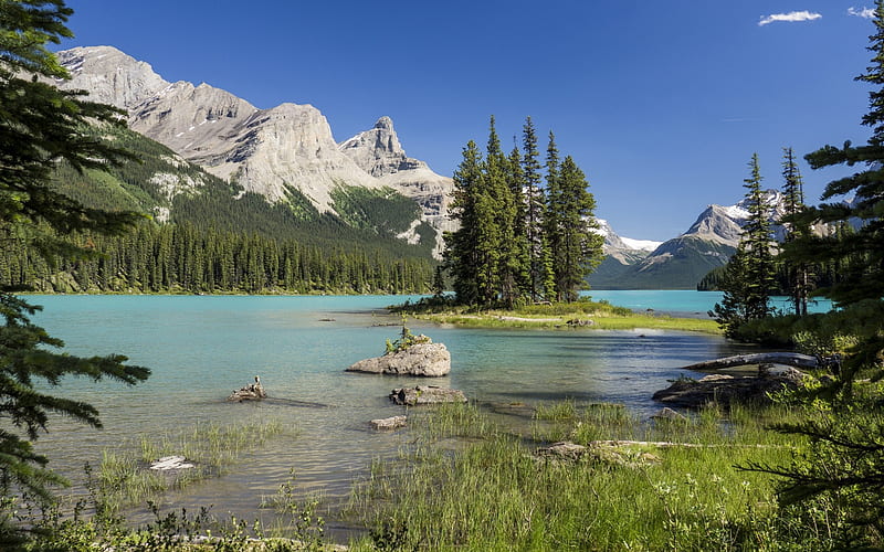 Maligne Lake, mountain lake, summer, mountain landscape, forest, Jasper National Park, Alberta, Canada, HD wallpaper