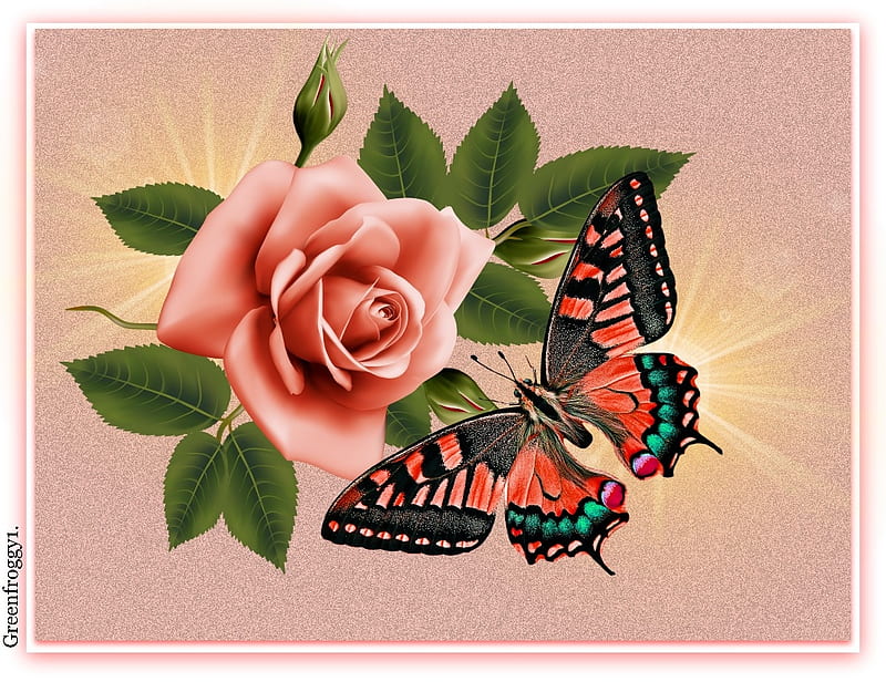 BUTTERFLY AND ROSE, ART, ROSE, ABSTRACT, BUTTERFLY, HD wallpaper | Peakpx