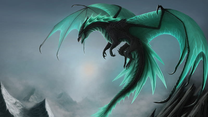 Fantasy Black And Green Dragon Is Flying Above On Mountain Dreamy, HD wallpaper