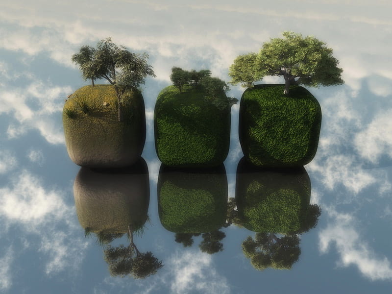 Cubic, tree, green, reflection, sky, HD wallpaper
