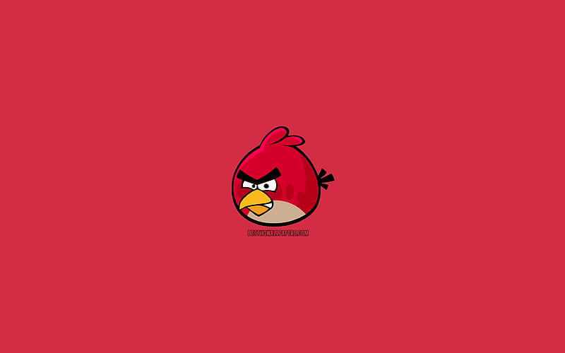 Red, minimal, Angry Birds, red background, creative, Red, HD wallpaper