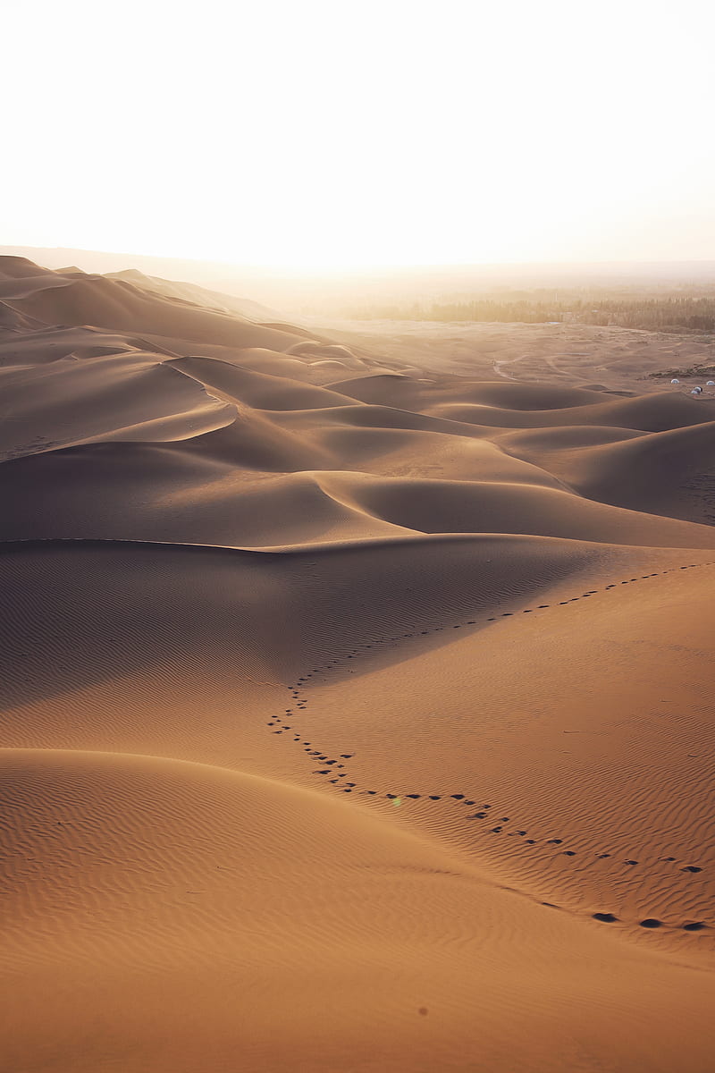 desert, dunes, sand, traces, landscape, HD phone wallpaper
