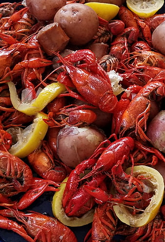 HD crawfish wallpapers | Peakpx