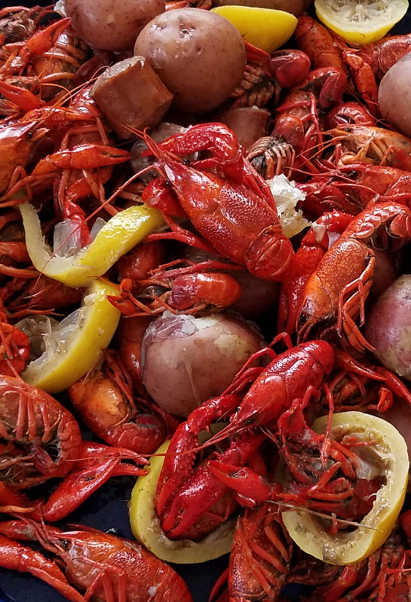 Crawfish , seafood, boil, red, party, food, yummy, HD phone wallpaper