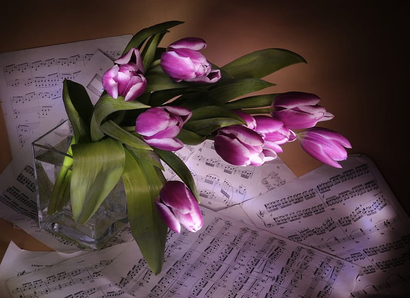 still life, lilac, notes, vase, bonito, graphy, nice, flower bouquet, flowers, beauty, tulips, harmony, romance, music, sheet music, water, cool, purple, flower, HD wallpaper